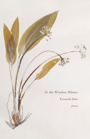 At the Window, Silence image number 0