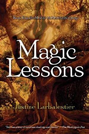 Magic Lessons image number 0