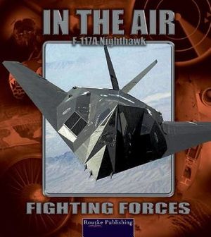 F117a Nighthawk image number 0