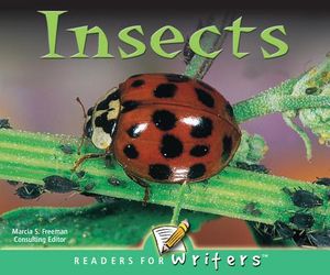 Insects image number 0