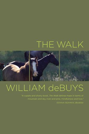 The Walk image number 0