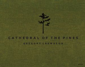 Gregory Crewdson: Cathedral of the Pines image number 0