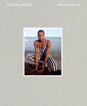 Joel Meyerowitz: Provincetown image number 0