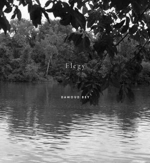 Dawoud Bey: Elegy image number 0