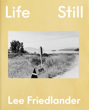Lee Friedlander: Life Still image number 0