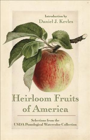 Heirloom Fruits of America: Selections from the USDA Watercolor Pomological Collection image number 0