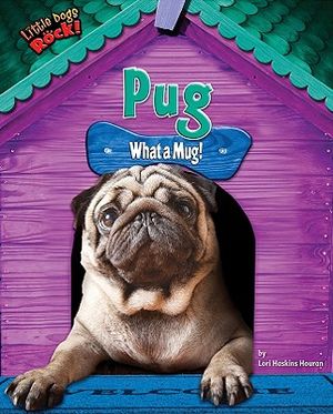 Pug: What a Mug! image number 0