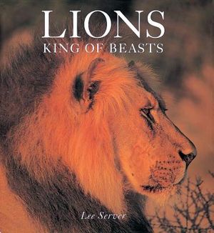 Lions: King of Beasts image number 0