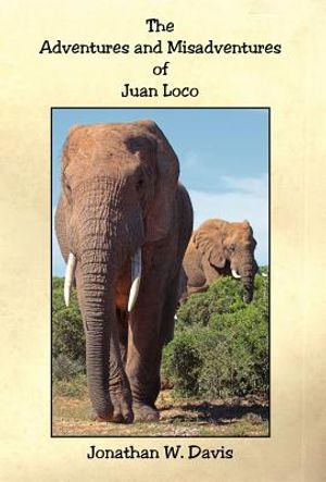The Adventures and Misadventures of Juan Loco image number 0