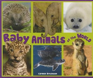 Baby Animals of the World image number 0