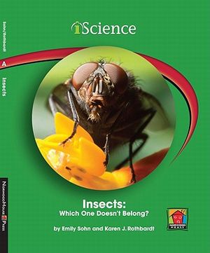 Insects: Which One Doesn't Belong? image number 0