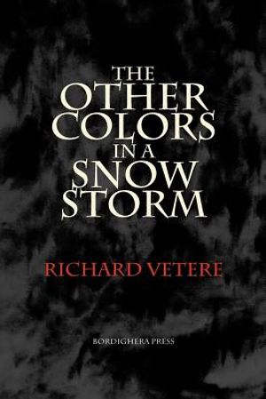 The Other Colors in a Snow Storm image number 0