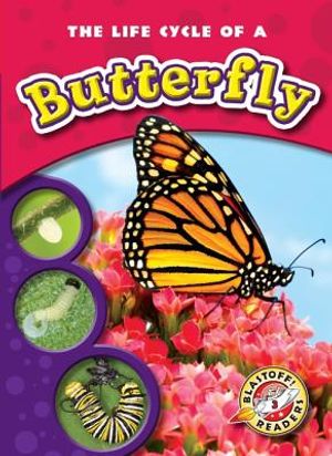 The Life Cycle of a Butterfly image number 0