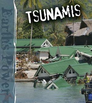 Tsunamis image number 0