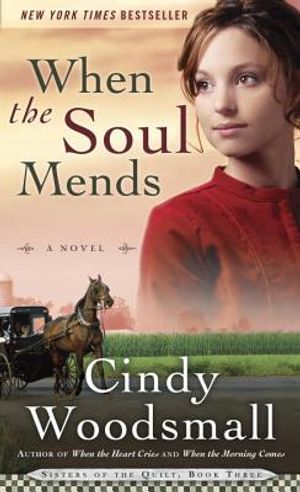 When the Soul Mends image number 0