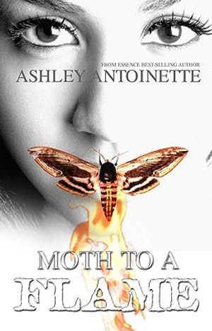 Moth to a Flame image number 0