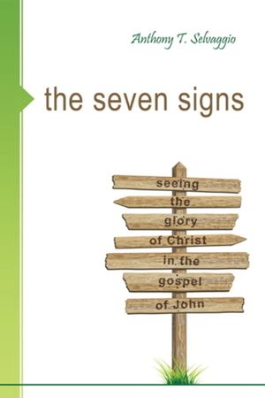 The Seven Signs: Seeing the Glory of Christ in the Gospel of John image number 0