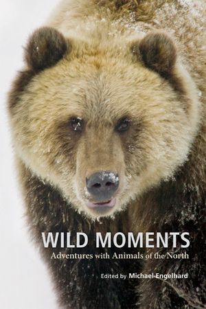 Wild Moments: Adventures with Animals of the North image number 0