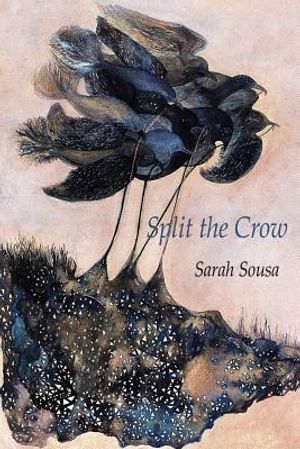 Split the Crow image number 0