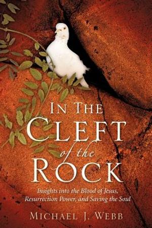 In The Cleft Of The Rock image number 0