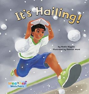 It's Hailing! image number 0
