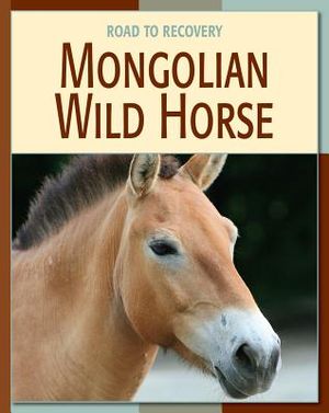 Mongolian Wild Horse image number 0