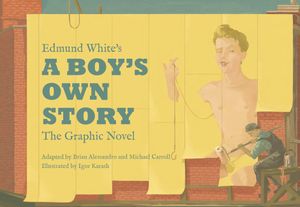 Edmund White's a Boy's Own Story: The Graphic Novel image number 0