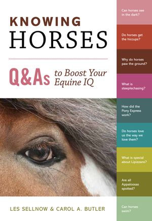 Knowing Horses: Q&As to Boost Your Equine IQ image number 0