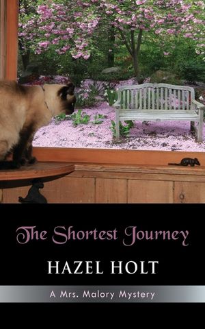 The Shortest Journey image number 0