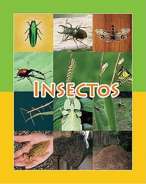 Insectos image number 0