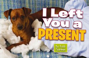 I Left You a Present image number 0