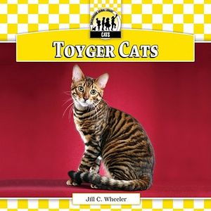 Toyger Cats image number 0