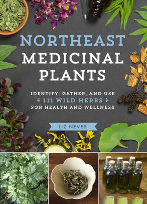 Northeast Medicinal Plants: Identify, Harvest, and Use 111 Wild Herbs for Health and Wellness image number 0