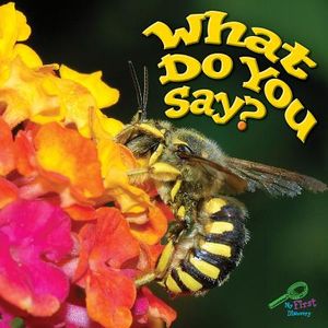 What Do You Say? image number 0
