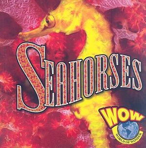 Seahorses image number 0
