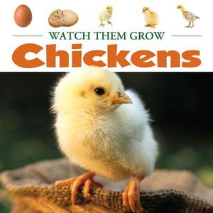 Chickens image number 0