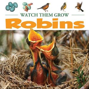 Robins image number 0