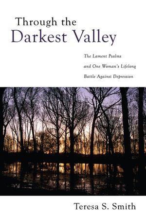 Through the Darkest Valley image number 0