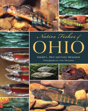 Native Fishes of Ohio image number 0