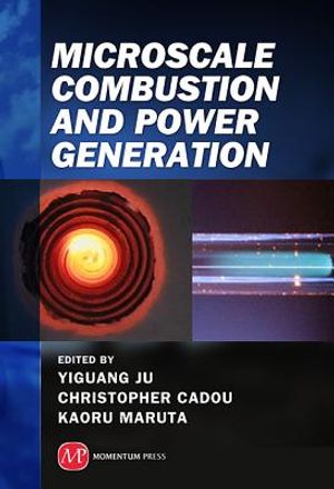 Microscale Combustion and Power Generation image number 0