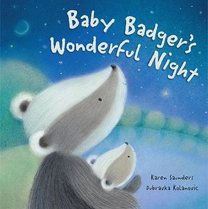 Baby Badger's Wonderful Night image number 0