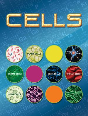 Cells image number 0