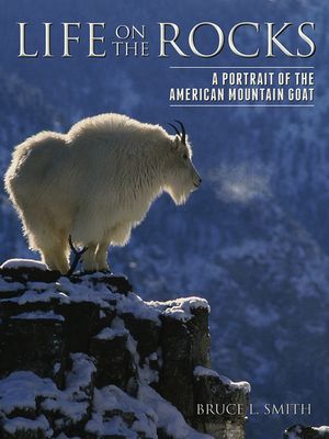 Life on the Rocks: A Portrait of the American Mountain Goat image number 0