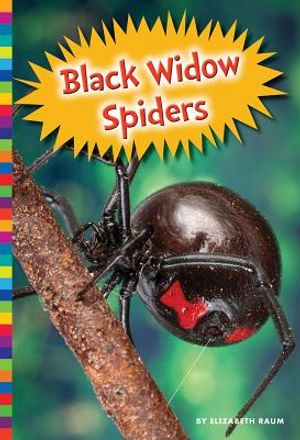 Black Widow Spiders image number 0