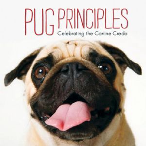 Pug Principles image number 0