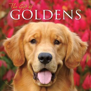 The Gift of Goldens image number 0