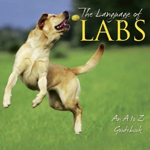 The Language of Labs image number 0