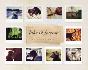 Luke & Forrest image number 0