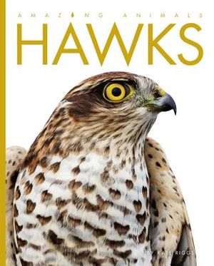 Amazing Animals Hawks image number 0