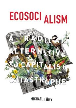 Ecosocialism: A Radical Alternative to Capitalist Catastrophe image number 0